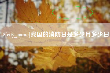 雅安我国的消防日是多少月多少日