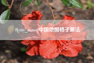 雅安中国地图格子画法
