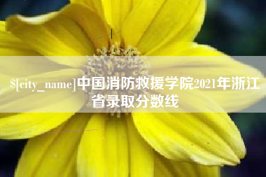 雅安中国消防救援学院2021年浙江省录取分数线