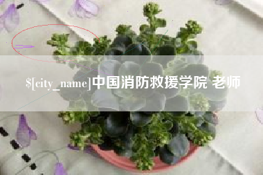 雅安中国消防救援学院 老师