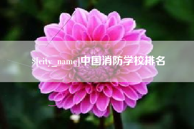 雅安中国消防学校排名