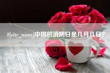 雅安中国的消防日是几月几日？