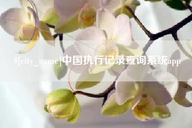 雅安中国执行记录查询系统app