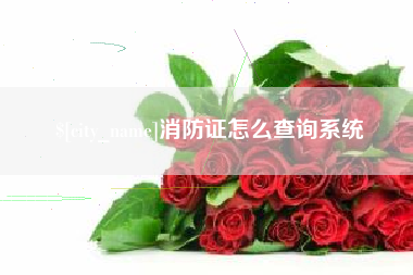 雅安消防证怎么查询系统