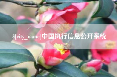 雅安中国执行信息公开系统