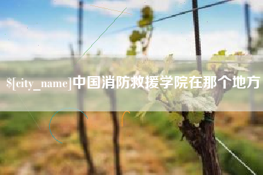 雅安中国消防救援学院在那个地方