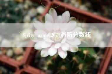 雅安2021消防分数线