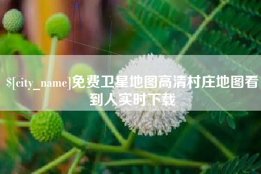 雅安免费卫星地图高清村庄地图看到人实时下载