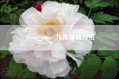 雅安九宫排盘方法