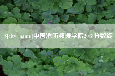 雅安中国消防救援学院2018分数线
