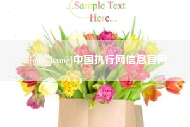 雅安中国执行网信息官网