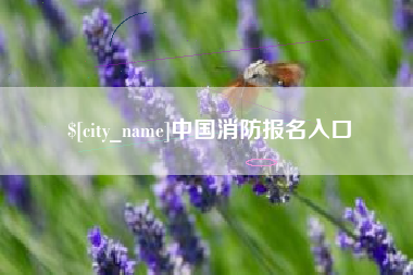 雅安中国消防报名入口
