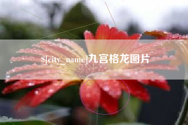 雅安九宫格龙图片
