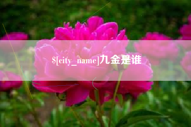 雅安九金是谁