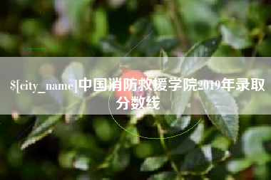雅安中国消防救援学院2019年录取分数线