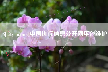 雅安中国执行信息公开网平台维护