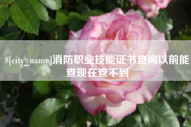 雅安消防职业技能证书查询以前能查现在查不到