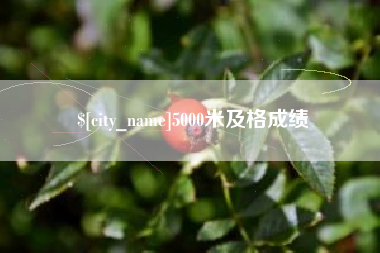 雅安5000米及格成绩