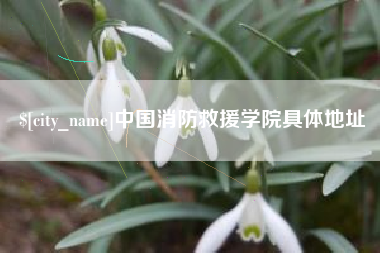 雅安中国消防救援学院具体地址