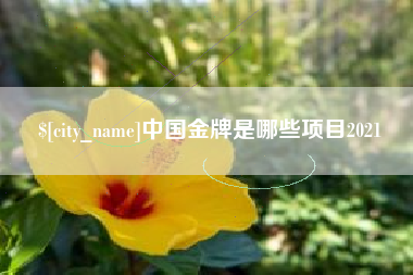 雅安中国金牌是哪些项目2021