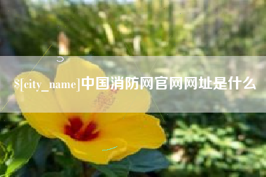 雅安中国消防网官网网址是什么