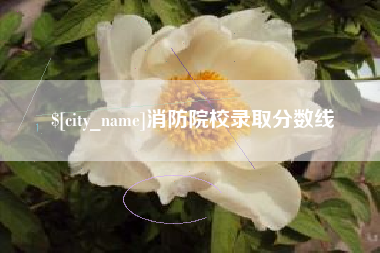 雅安消防院校录取分数线