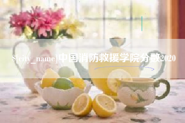 雅安中国消防救援学院分数2020