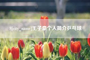 雅安王子豪个人简介乒乓球