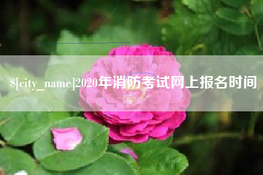 雅安2020年消防考试网上报名时间