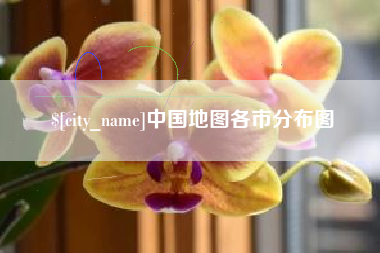 雅安中国地图各市分布图