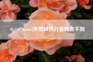 雅安失信被执行官网查不到
