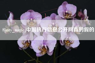 雅安中国执行信息公开网真的假的