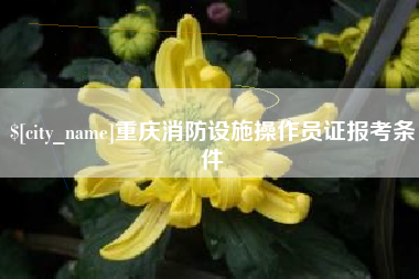 雅安重庆消防设施操作员证报考条件