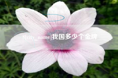 雅安我国多少个金牌