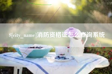 雅安消防资格证怎么查询系统