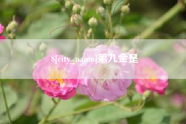 雅安第九金是