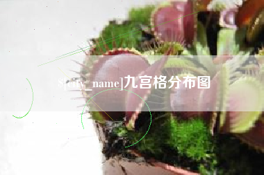 雅安九宫格分布图