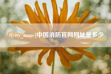 雅安中国消防官网网址是多少