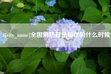 雅安全国消防日是每年的什么时候