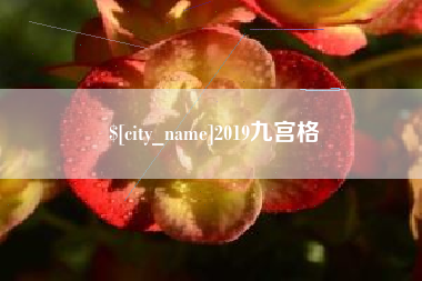 雅安2019九宫格