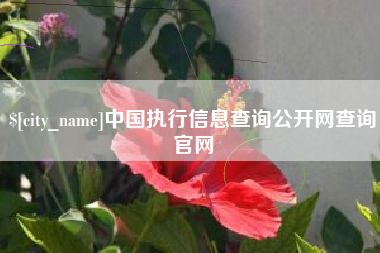 雅安中国执行信息查询公开网查询官网