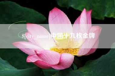 雅安中国十九枚金牌