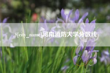 雅安河南消防大学分数线