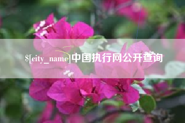雅安中国执行网公开查询