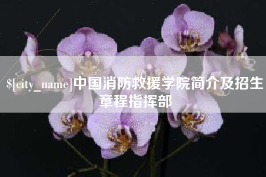 雅安中国消防救援学院简介及招生章程指挥部