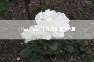 雅安消防证的查询