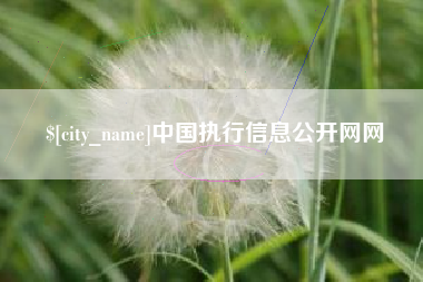 雅安中国执行信息公开网网