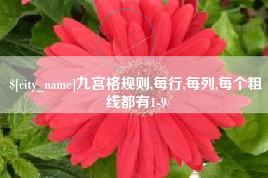 雅安九宫格规则,每行,每列,每个粗线都有1-9