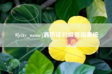 雅安消防证初级查询系统