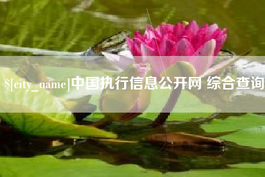 雅安中国执行信息公开网 综合查询